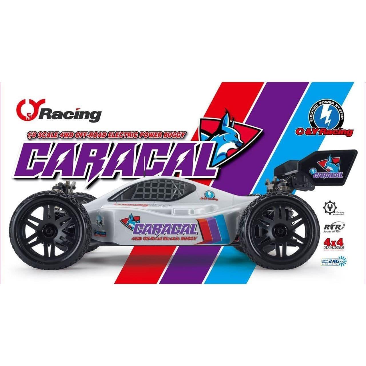 MING YANG Caracal 1/8 4WD Off-Road Electric Buggy RTR