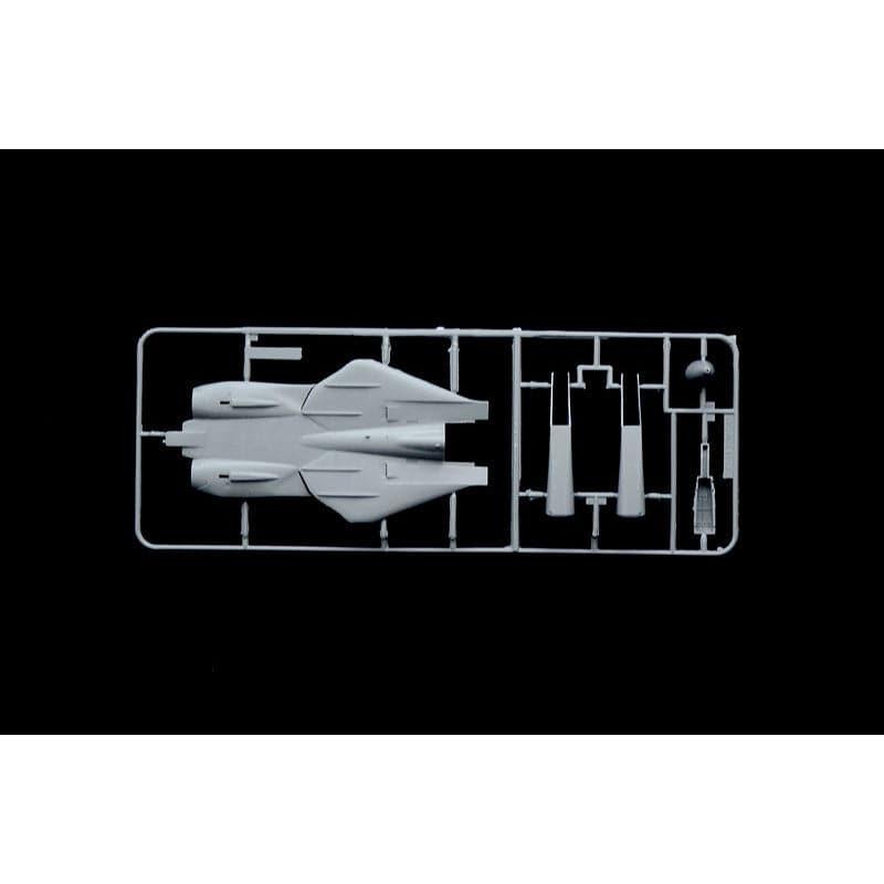 ITALERI 1/72 F-14A Tomcat 50th First Flight Anniversary