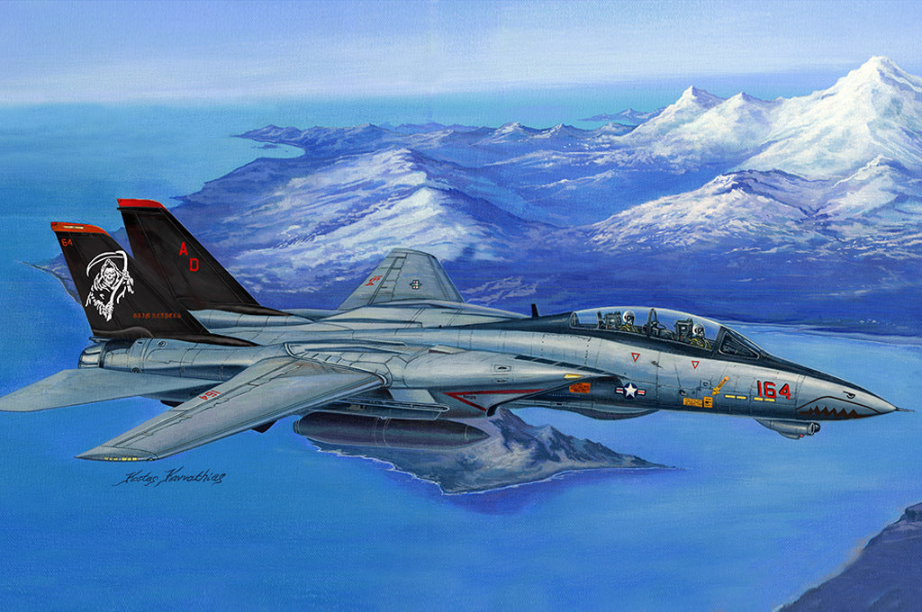 Hobby Boss 1/48 F-14D Super Tomcat Plastic Model Kit [80368]