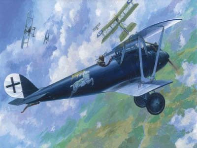 Roden 1/72 PFALZ D III a Plastic Model Kit