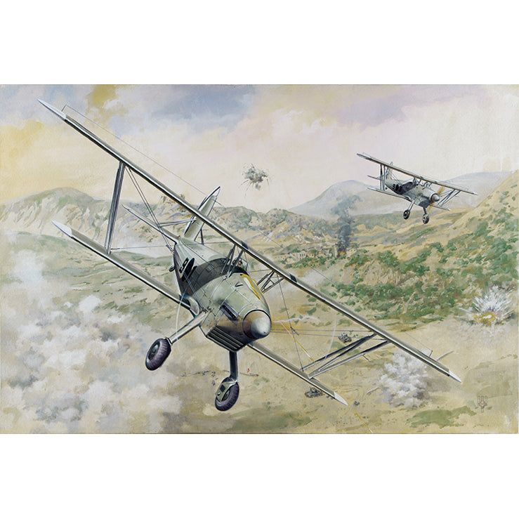 Roden 1/48 Arado Ar68E Plastic Model Kit