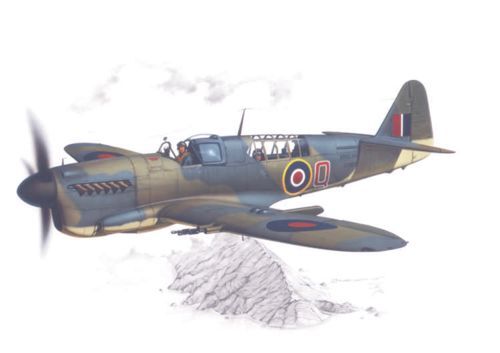 Special Hobby 1/48 Fairey Firefly Mk.I "Home Fleet" Plastic Model Kit