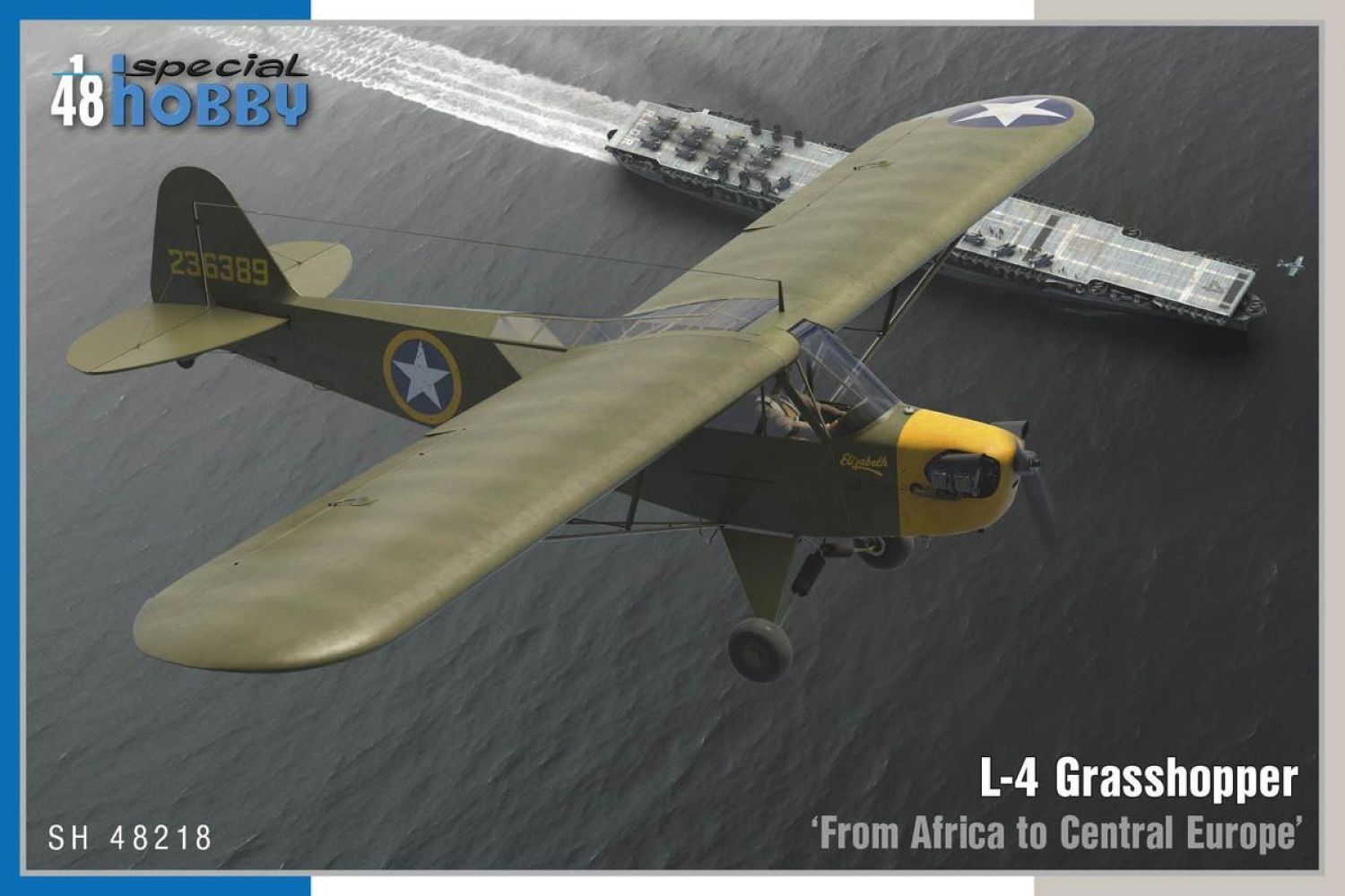 Special Hobby 1/48 L-4 Grasshopper â€˜From Africa to Central Europeâ€™ Plastic Model Kit