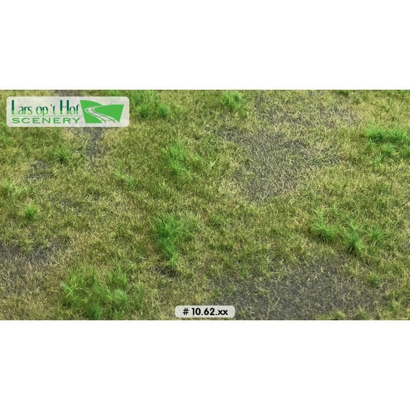 LARS OP 'T HOF Pasture with Soil Summer - Short (Large Pack)