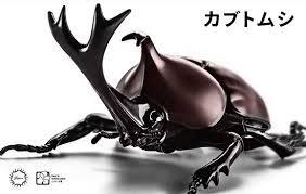 FUJIMI Biology Edition Beetle [FI No.21] Plastic Model Kit